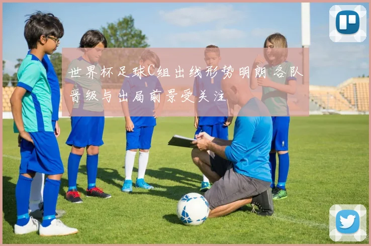 世界杯足球C组出线形势明朗 各队晋级与出局前景受关注