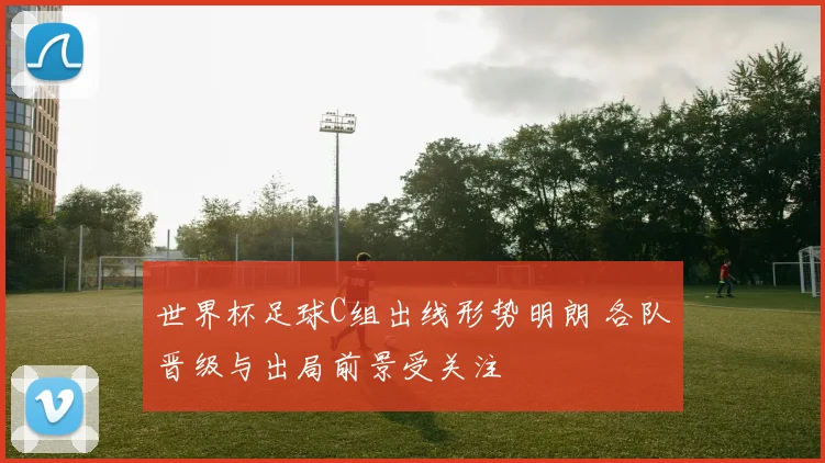 世界杯足球C组出线形势明朗 各队晋级与出局前景受关注