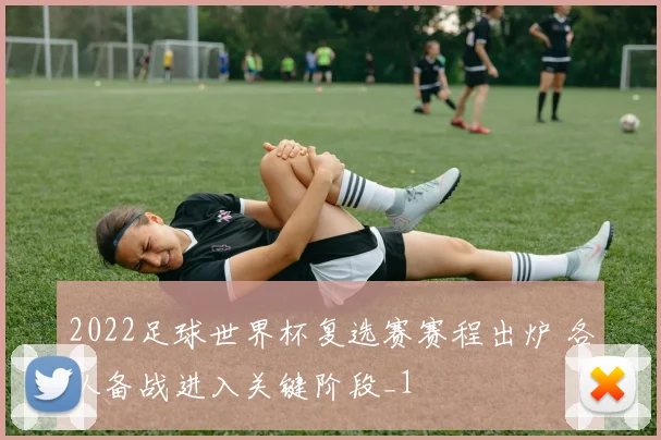 2022足球世界杯复选赛赛程出炉 各队备战进入关键阶段_1