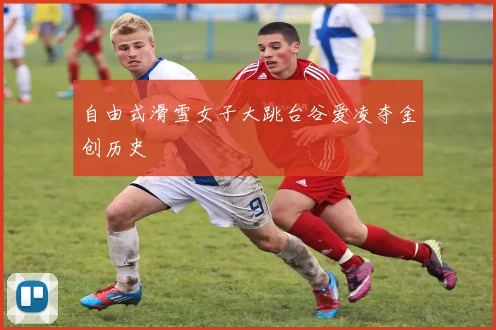 自由式滑雪女子大跳台谷爱凌夺金创历史