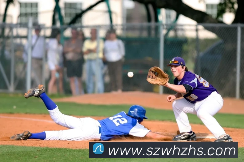 企业概况