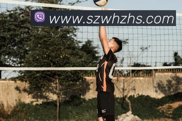 巅峰国标pg官网入口APP 封面图